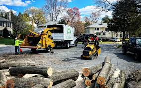 Best Utility Line Clearance  in Forest, MS